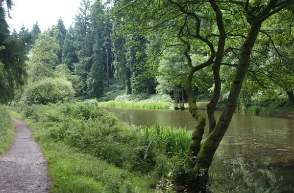 Wye Valley 3 273 1161362435