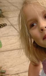 Wye Valley Butterfly Zoo with a child looking at a butterfly