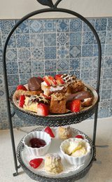 Afternoon Tea at Briery Hill Llamas