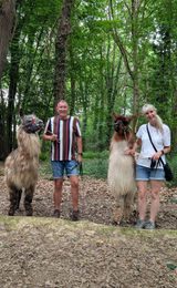 Couples llamas