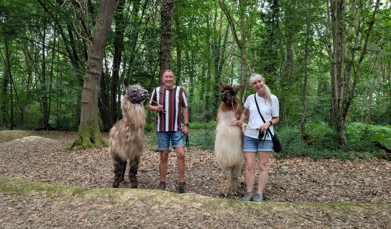 Couples llamas