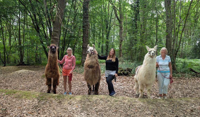 Group photo llama trekking