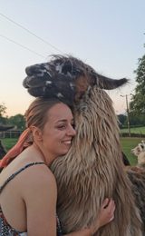 Briery Hill Llamas Full Day Farm Experience Macchi angel