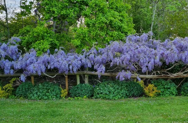 Vdw drysladefarm 4 1660591546