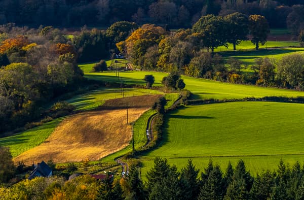 Vdw fodphotographyschool 4 1951901167