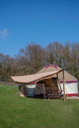 Forest Retreats - Yoga, Wellbeing and Forest Bathing