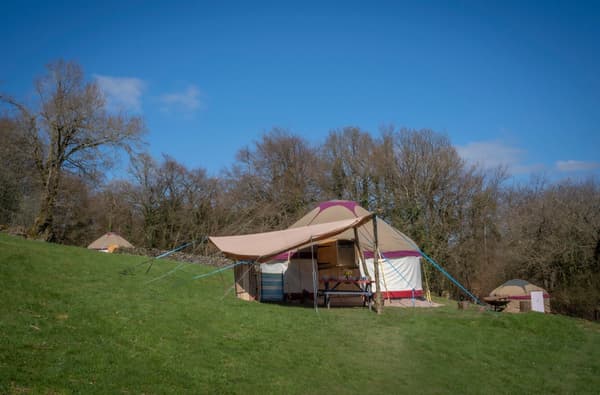 Forest Retreats - Yoga, Wellbeing and Forest Bathing