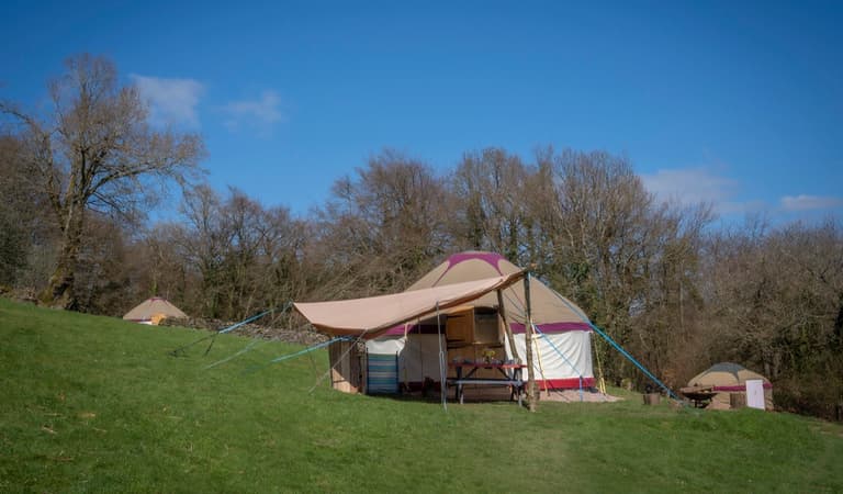 Forest Retreats - Yoga, Wellbeing and Forest Bathing