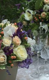 Vdw millendweddings new1 1146890960