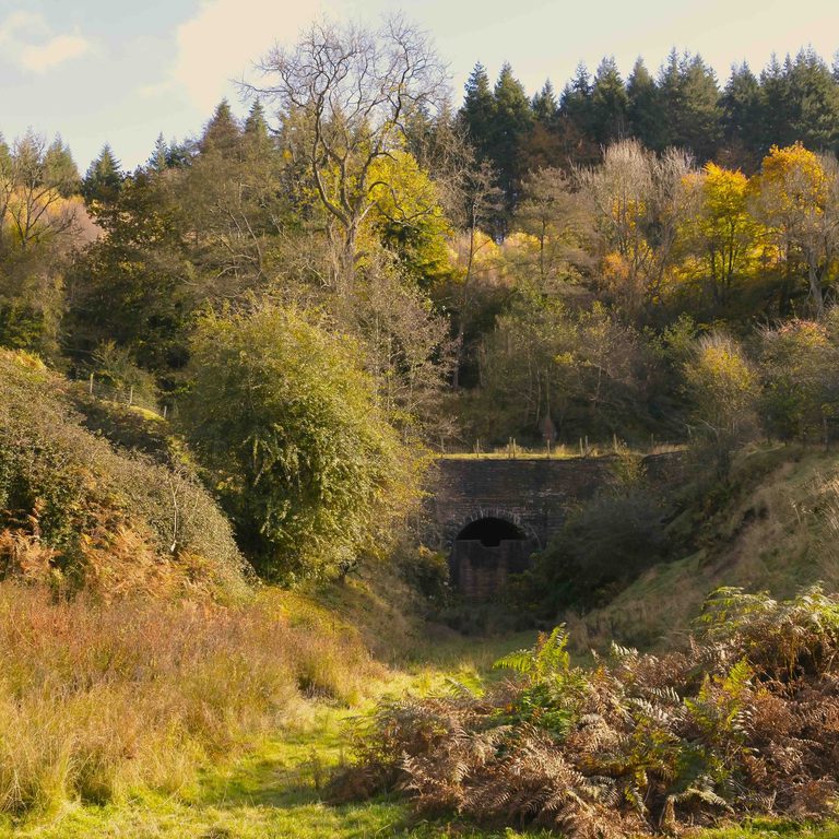 Copyright Paul Bennell Haie Tunnel Autumn