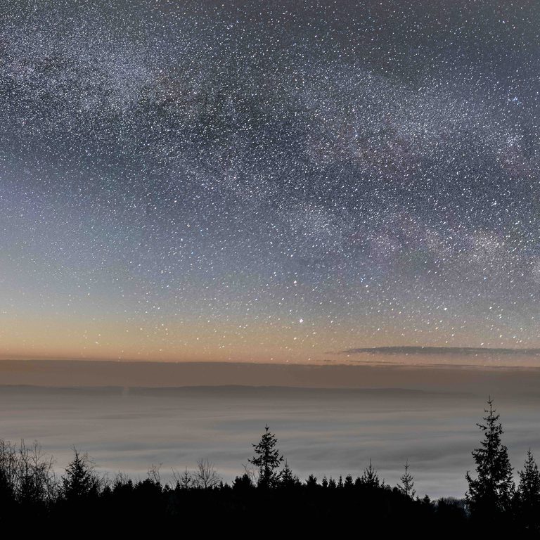 Copyright Tim Scanlan BLAIZE BAILEY MILKY WAY