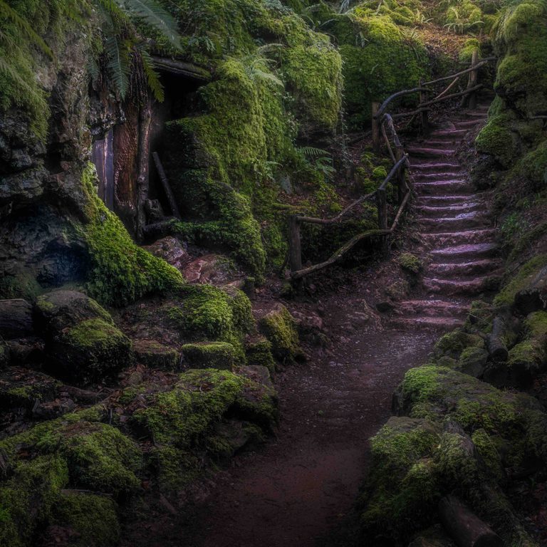 Copyright Tim Scanlan PUZZLEWOOD