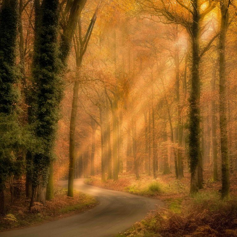 Copyright Tim Scanlan ROMAN ROAD