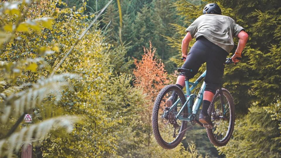 Biking in the Forest of Dean and Wye Valley