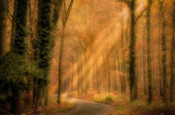 Copyright Tim Scanlan ROMAN ROAD