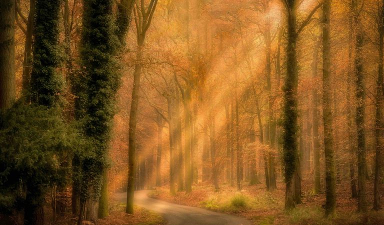 Copyright Tim Scanlan ROMAN ROAD