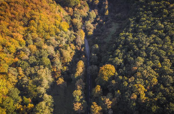 Driving in the Forest of Dean in Autumn birds eye view of the autumn colours and a road perfect for leaf peeping on the Royal Forest Driving Route