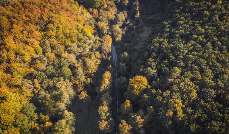 Driving in the Forest of Dean in Autumn birds eye view of the autumn colours and a road perfect for leaf peeping on the Royal Forest Driving Route