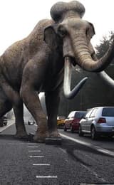 Primeval 2007 2011 Filmed in the Forest of Dean and Wye Valley