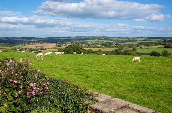 Symonds Yat Rock Lodge View