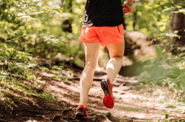 Parkrun in the Forest of Dean