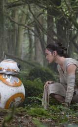 Star Wars Episode VII The Force Awakens Filmed in Puzzzlewood in the Forest of Dean