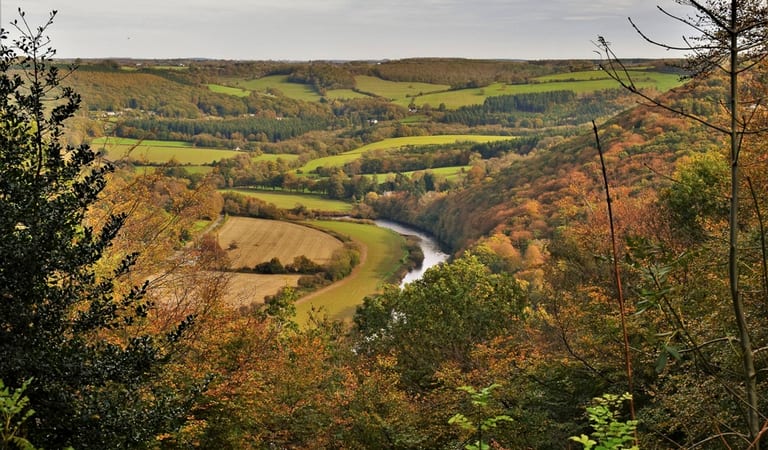 View of the River Wye in the Forest of Dean and Wye Valley