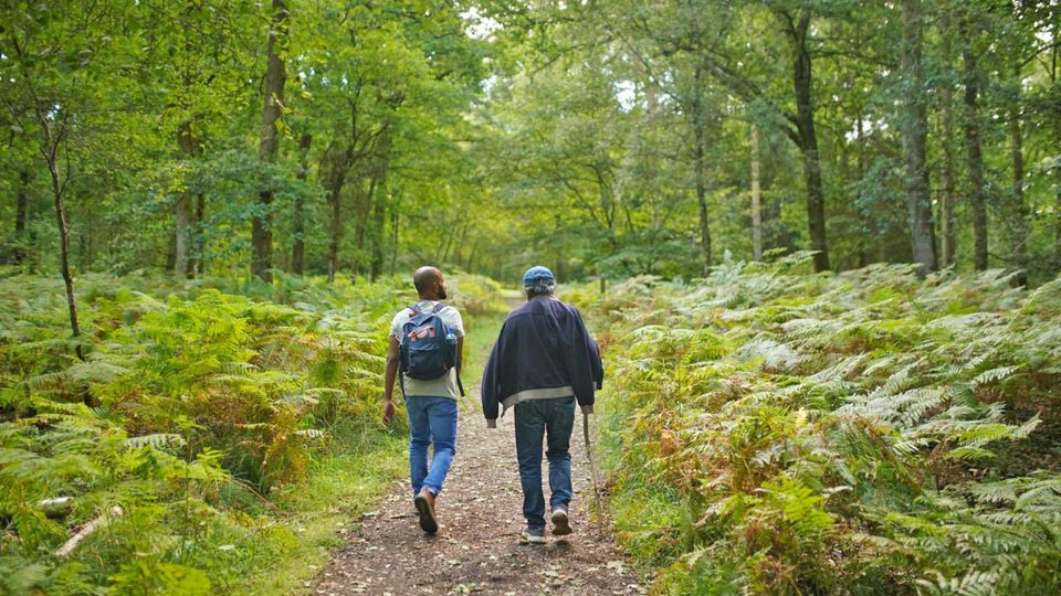 Walking in the Forest of Dean and Wye Valley