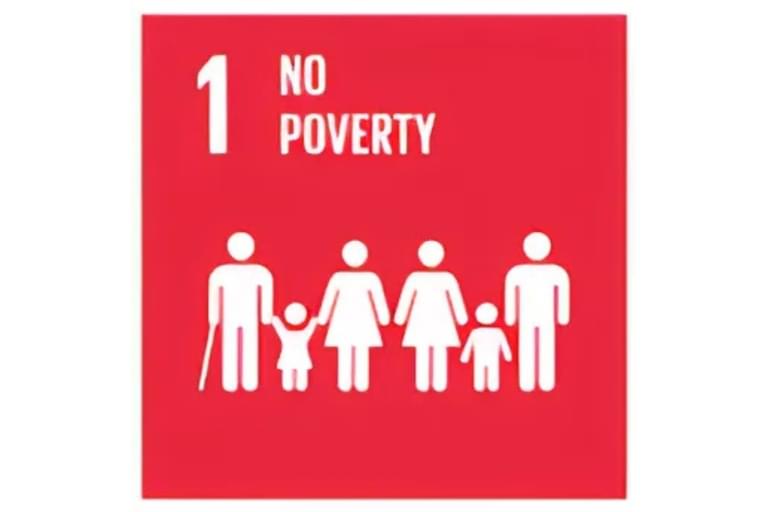 #1 No Poverty