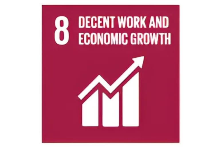 #8 Decent Work