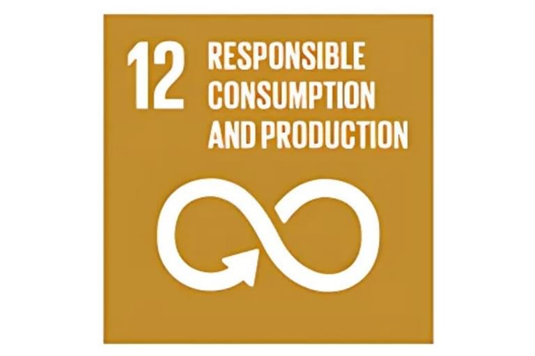 #12 Sustainable Consumption