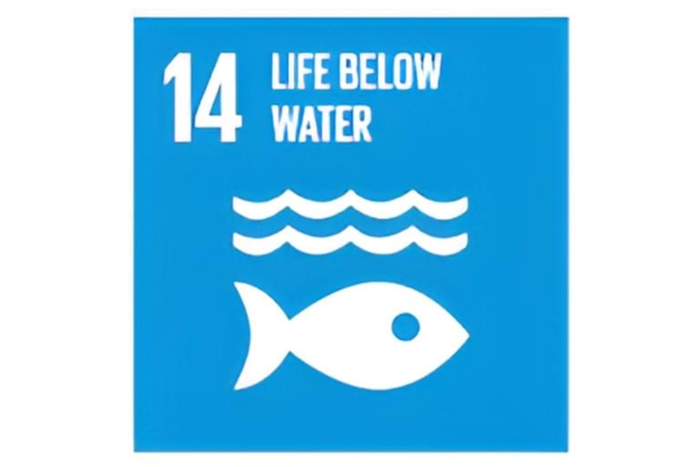 #14 Life Below Water