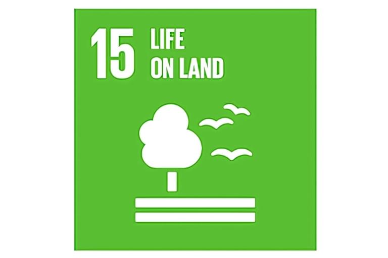 #15 Life on Land
