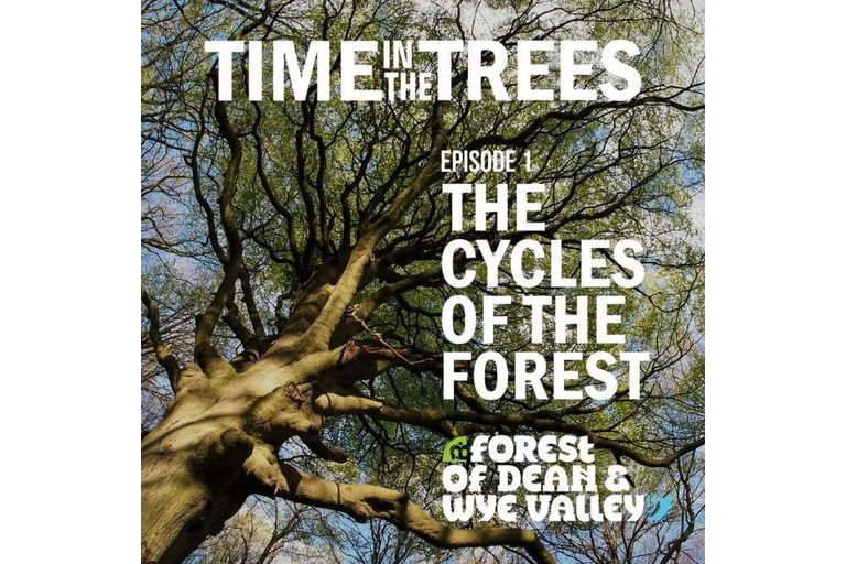 Car Free Travel in the Forest of Dean and Wye Valley The Cycles of the Forest Podcast 960x640