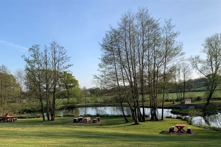 Forest Oak Farm Camping