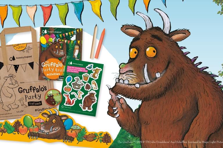 The Gruffalo Trail 25th Anniverdary Forest of Dean